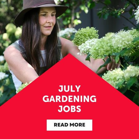 July gardening Jobs